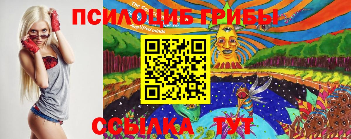 Псилоцибиновые грибы GOLDEN TEACHER Заволжье