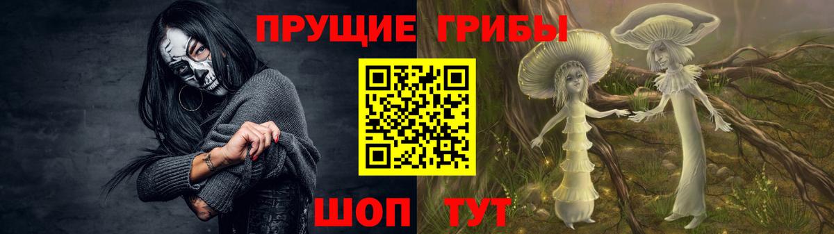 Заволжье  Галлюциногенные грибы Psilocybe  Галлюциногенные грибы мухоморы  Вход с VPN 